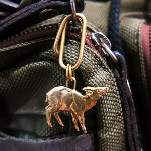 Encanto Muntjac de Reeve
