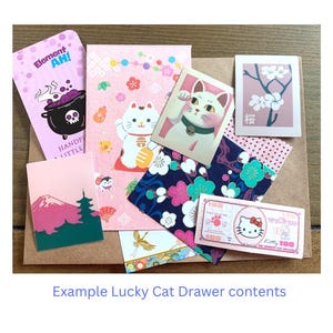 Sample lucky cat curiosity drawer contents