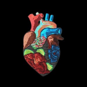 May include: A colorful sequined heart patch with anatomical details. The patch features red, blue, brown, and green sequins, with a black background. The design includes floral elements within the heart shape.
