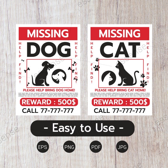 Lost dog and cat 2025