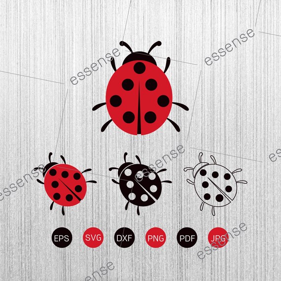 Lady Bug Png  Design Bundles