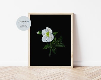 Botanical Print on Black, Flower Wall Art, Minimal Plant Poster, Spring Flower Painting, Botanical Home Decor, Black and White Art
