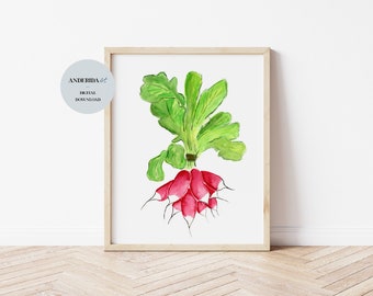 Watercolour Radish, Vegetable Painting, Watercolour Vegetables, Vegetable Art, Kitchen Decor, Dining Decor