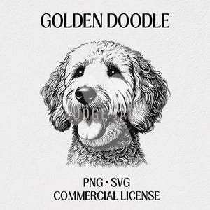 Golden Doodle Dog Portrait: Sketch Drawing SVG PNG (Digital Download)