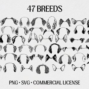 Detailed Dog Ears Bundle with 48 Breeds, SVG, PNG Commercial License, Print on Demand, Embroidery, Sublimation