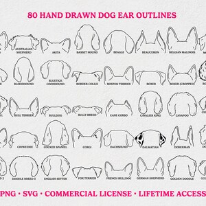Dog Ears Outline Drawing SVG Bundle With 80 Breeds Dog Ear - Etsy