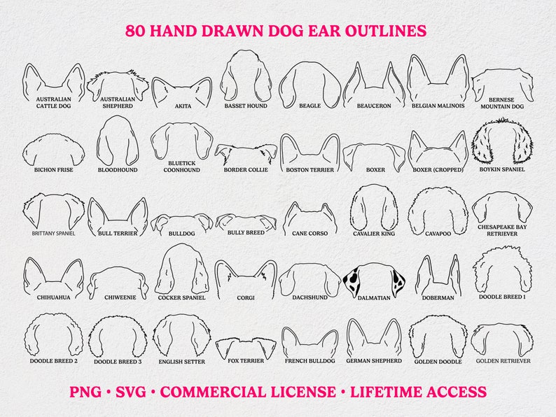 Dog Ears Outline Drawing SVG Bundle With 80 Breeds Dog Ear - Etsy