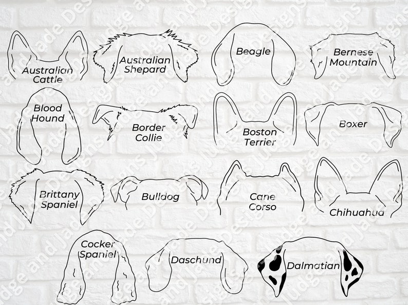 Dog Ears Outline Drawing SVG Bundle con 45 razas / Licencia - Etsy España