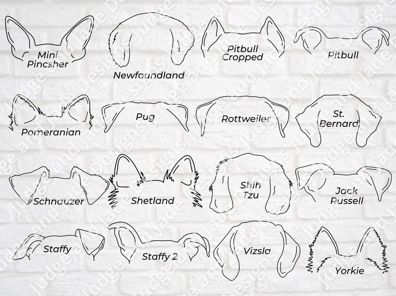Dog Ears Outline Drawing SVG Bundle With 45 Breeds - Etsy Australia