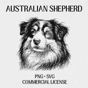 Australian Shepherd Dog Head Portrait SVG, PNG Digital Download, Dog Sketch Drawing, Clipart, Sublimation, Print on Demand
