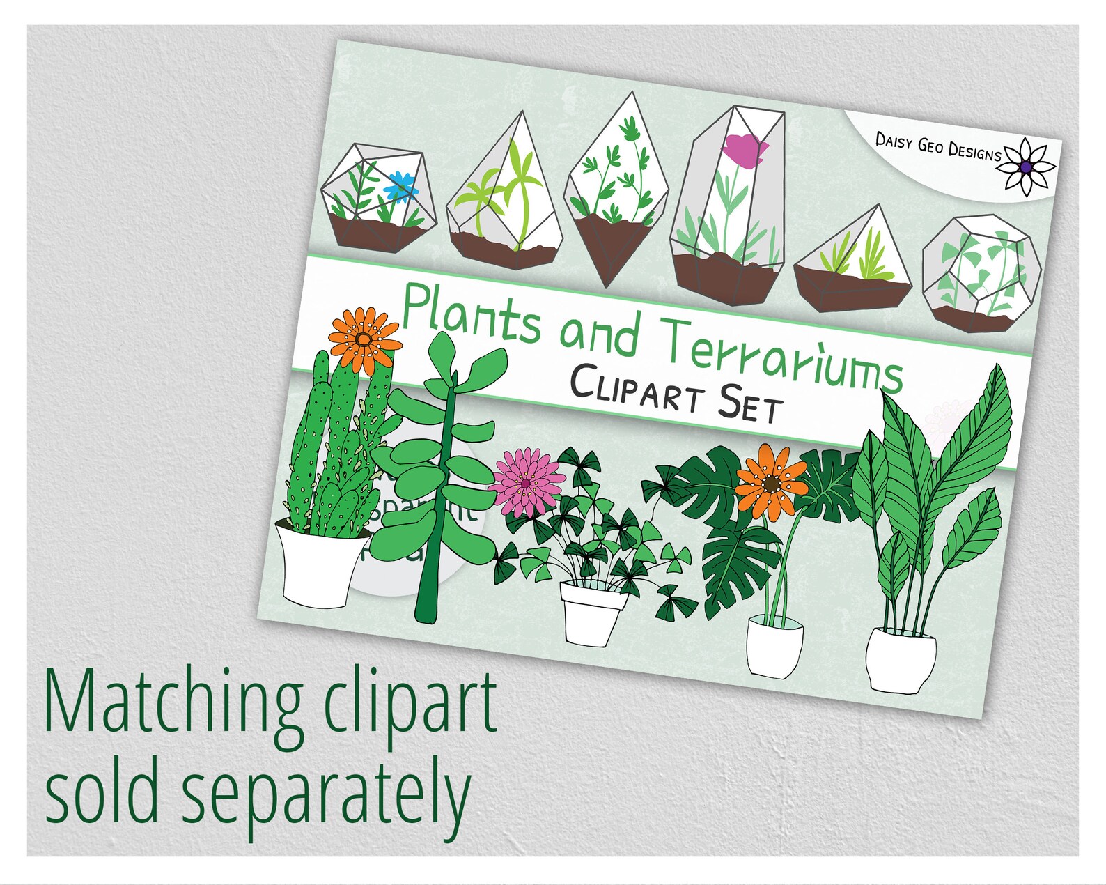 Mini terrarium image