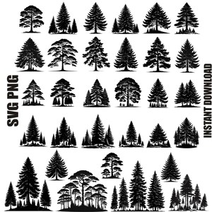 PINE TREE Svg, file SVG di pini sempreverdi per Cricut, Silhouette, file Svg di conifere, file tagliati di pini sempreverdi, uso commerciale illimitato