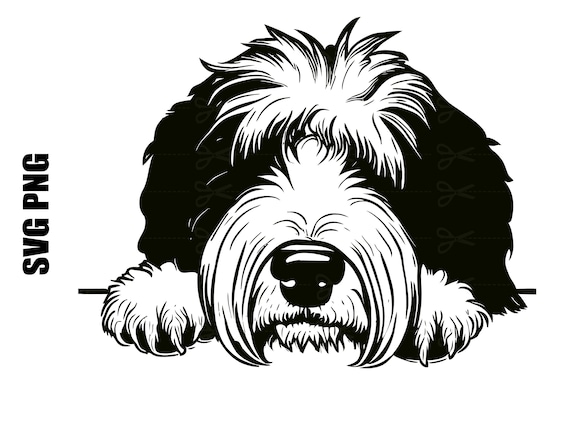 Old English Sheepdog Dog SVG File Cricut Download Dog Face
