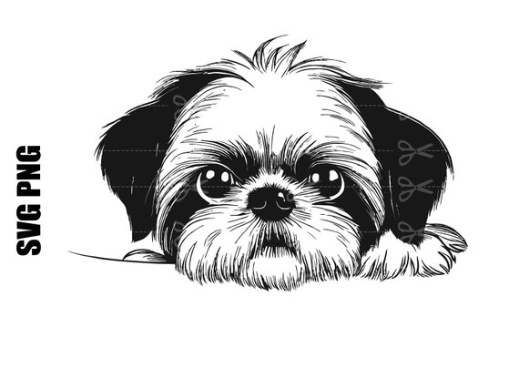 Shih Tzu Umbrella - Black & White Shih Tzu Umbrella - Black & White