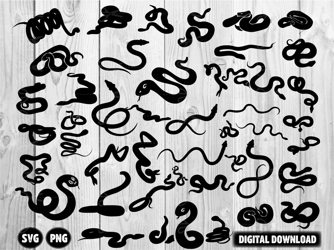 Snake Svg, Snake Silhouette, Snake Clipart, Snake Cricut, Python Svg ...