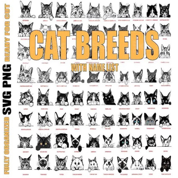 Cat Peeking SVG, Cat Breed Name List, Peeking cat clipart, Cute Cat  Png, A Z Peeking Cat, Fur Kitten Svg, Silhouette, Cat svg cutting file