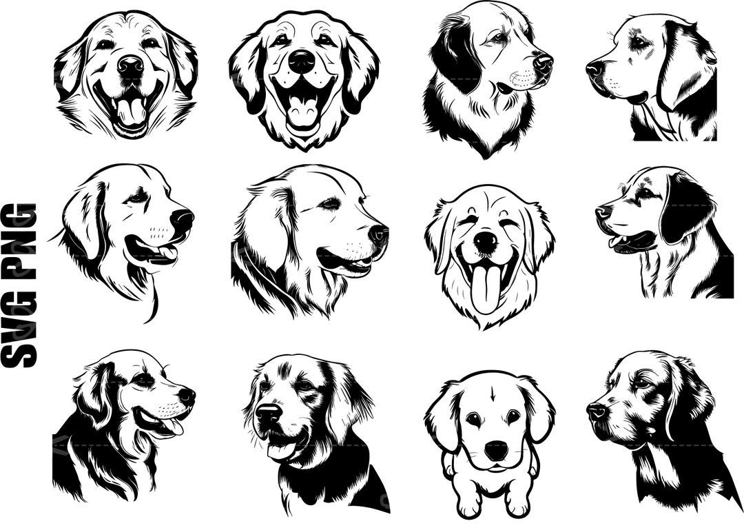 GOLDEN RETRIEVER HEAD Svg Golden Retriever Svg Golden Etsy