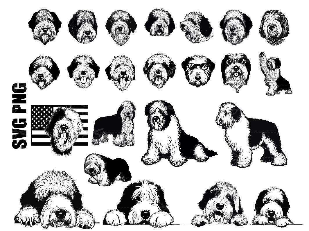 Old English Sheepdog Vector Illustration Royalty Free SVG, Cliparts,  Vectors, and Stock Illustration. Image 87466834.