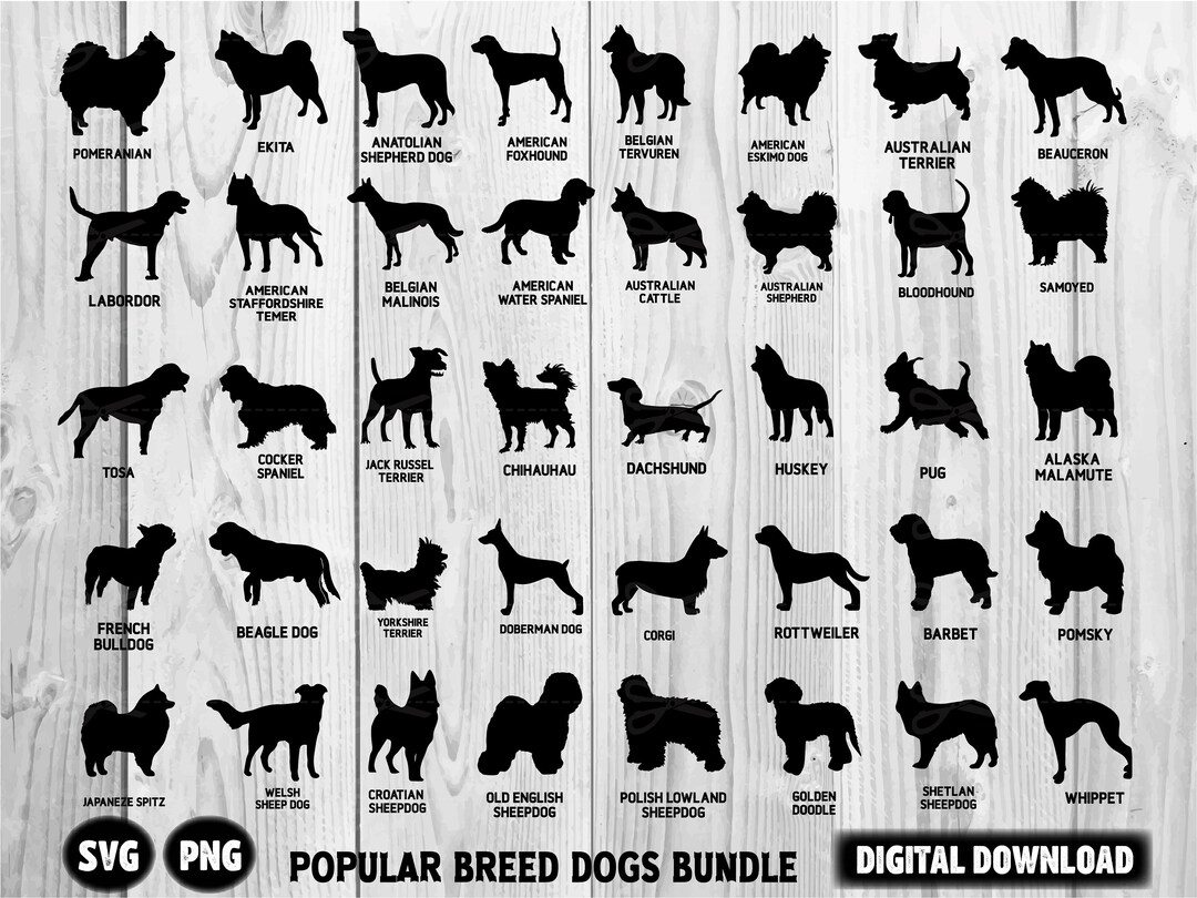 Dog Breeds Svg Bundle Dog Breeds Silhouette Pack Dog Etsy