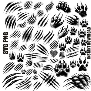 Marques de griffes SVG, svg de marques de griffes sanglantes, barres obliques SVG, PNG, fichiers de découpe numérique, Halloween svg, plaie avec du sang, rayures Svg, usage Commercial