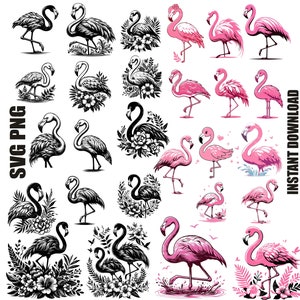 Fenicotteri in formato SVG, FLAMINGO Bundle SVG, Clipart floreale FLAMINGO, Flamingo Svg taglia file per Cricut, Flamingo silhouette Svg, Uso commerciale