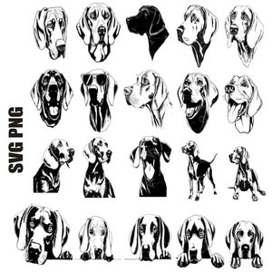 weimaraner svg, weimaraner dog svg bundle, weimaraner png, weimaraner silhouette, peeking weimaraner svg