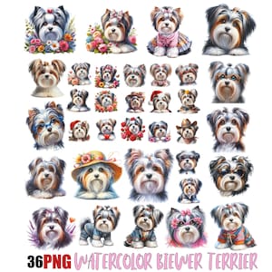 Biewer Terrier Png, spähender Biewer Terrier Png, Hundegrafik, Hund Sublimation, entzückender Biewer Terrier, Tierliebhaber, Hunde Png Bundle