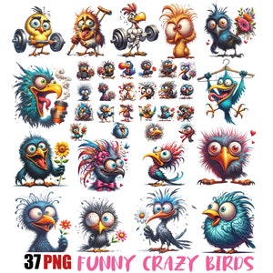 Lot de cliparts drôles d'oiseaux fous | Illustrations d'oiseaux ludiques | Oiseau drôle PNG | Fichiers à télécharger instantanément