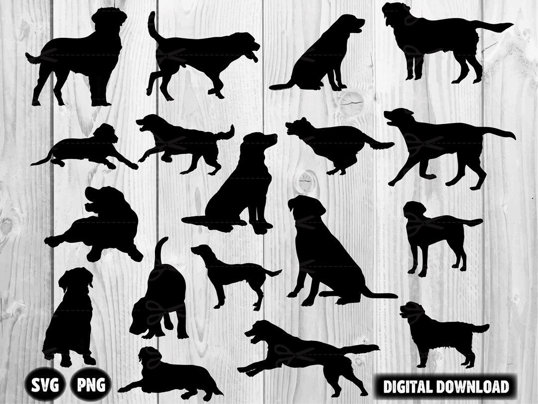 Labrador Dog Svg Bundle, Labrador Dog Silhouette, Labrador Dog Png ...