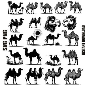 Pacchetto Svg cammello, Silhouette cammello, Clipart cammello, File di taglio cammello per cricut, Svg Png, download immediato, Uso commerciale illimitato