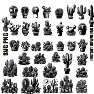 Cactus Svg , cactus svg, cactus del desierto svg, lindo cactus svg, suculento svg, cactus clipart, cactus svg paquete, cactus para macetas, Comercial