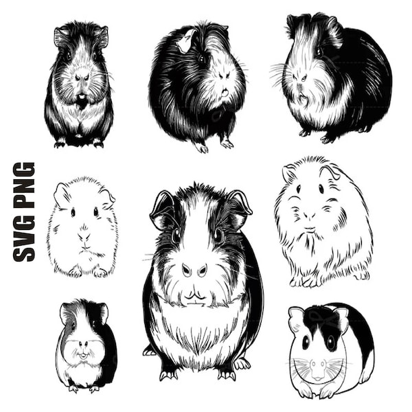 Guinea Pig Svg files for Cricut, cute pet clipart, Domestic animal svg, Guinea Pig vector, png printable, Digital Download