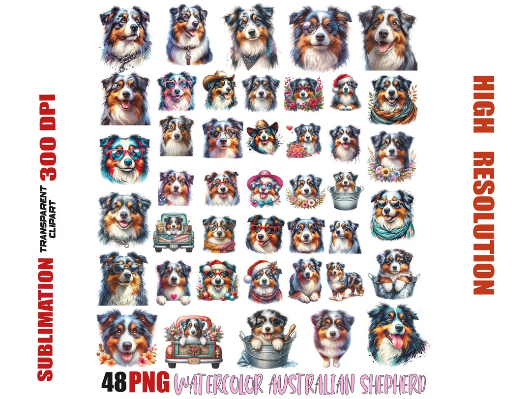 Australian Shepherd Png, Pet Portrait, Dog Graphics, Dog Sublimation ...