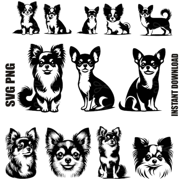 Chihuahua SVG, Chihuahua Silhouette, Chihuahua Bundle, Chihuahua Clipart, Chihuahua Cut File, Digital Download