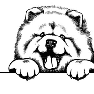 Peeking chow chow Svg, Peeking chow chow Clipart, tête de chow chow Svg, Peeking chow chow fichier pour Cricut, Silhouette, fichier de coupe pour les amoureux des chiens