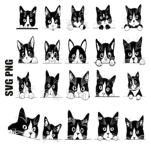 Tuxedo Katze SVG, Katze späht SVG, schwarze Katze svg, spähende Katze Clipart, süße Katze Png, gestreifte Kätzchen svg, Pelzkätzchen svg, Inland Design svg