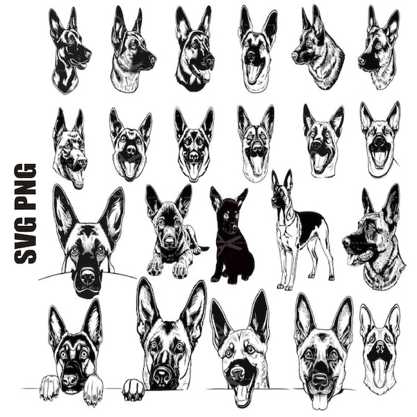 belgian malinois Svg, belgian shepherd, belgian malinois Png, malinois shirt, belgian malinois Cut File For Cricut, Silhouette, Commercial