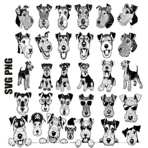 Airedale Terrier Svg, Airedale Terrier Png, Airedale Terrier Clipart, Craft Your Way to Canine Enchantment! Perfect voor doe-het-zelfprojecten.