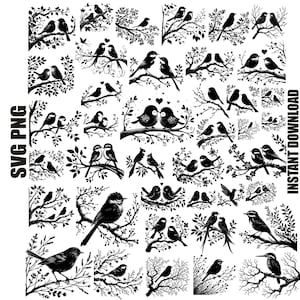 Oiseaux sur une branche d'arbre Svg, Svg mignons tourtereaux, oiseaux sur des brindilles fichiers Svg, Silhouette d'oiseaux, téléchargement numérique