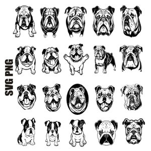 Bulldogge SVG, Bulldogge SVG-Bundle, Bulldogge SVG, Bulldogge Kopf SVG, Bulldogge Clipart, Bulldogge SVG-Dateien für Cricut, Bulldogge Silhouette