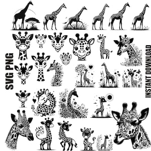 Giraffen-Svg, Giraffen-Svg-Bundle, Giraffen-Silhouette, süße Giraffen-Svg, Giraffen-Clipart, lustige Giraffen-Svg, Safari-Tiere-Svg, kommerzielle Nutzung