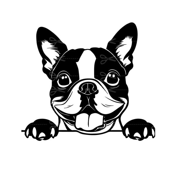 Peeking boston terrier Svg, Peeking boston terrier Clipart, boston terrier Head Svg,Peeking boston terrier Files For Cricut, Silhouette