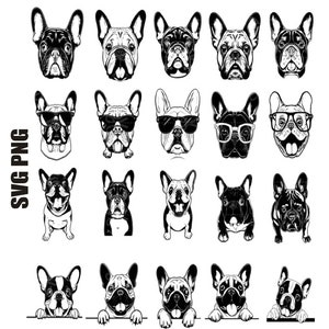 Bulldog Francês Svg, Cabeça de Bulldog Francês Svg, Clipart de Bulldog Francês, Bulldog Francês Png, Arquivo de Corte de Bulldog Francês para Cricut, Silhueta