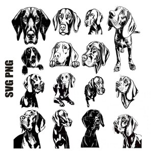 Vizsla Hund geschnitten Datei, Vizsla Hund geschnitten Datei, Vizsla Hund geschnitten Datei, Vizsla Hund geschnitten Datei, Vizsla Hund geschnitten Datei, Vizsla Hund
