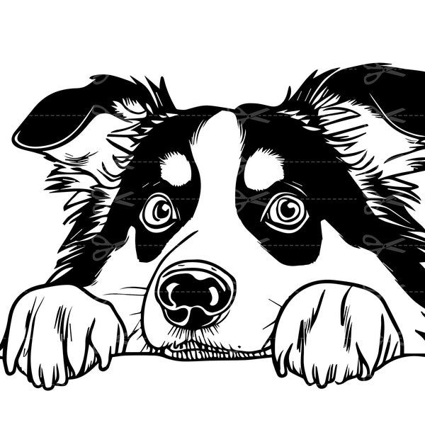 Peeking Australian Shepherd Svg, Peeking Australian Shepherd Clipart, Peeking Australian Shepherd Svg Files For Cricut, Silhouette