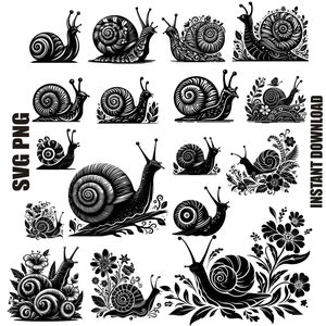 Schnecken-Svg, Schnecke-Svg-Bundle, Blumen-Silhouette, Schnecke Png, Schnecke Clipart, Schnecke geschnitten Dateien für Cricut Silhouette, Schnecke Designs