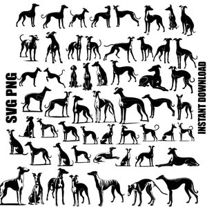 Whippet Hund SVG, Greyhound Hund, Clipar, Digital Cut Files, Rennhund, kommerzielle Nutzung