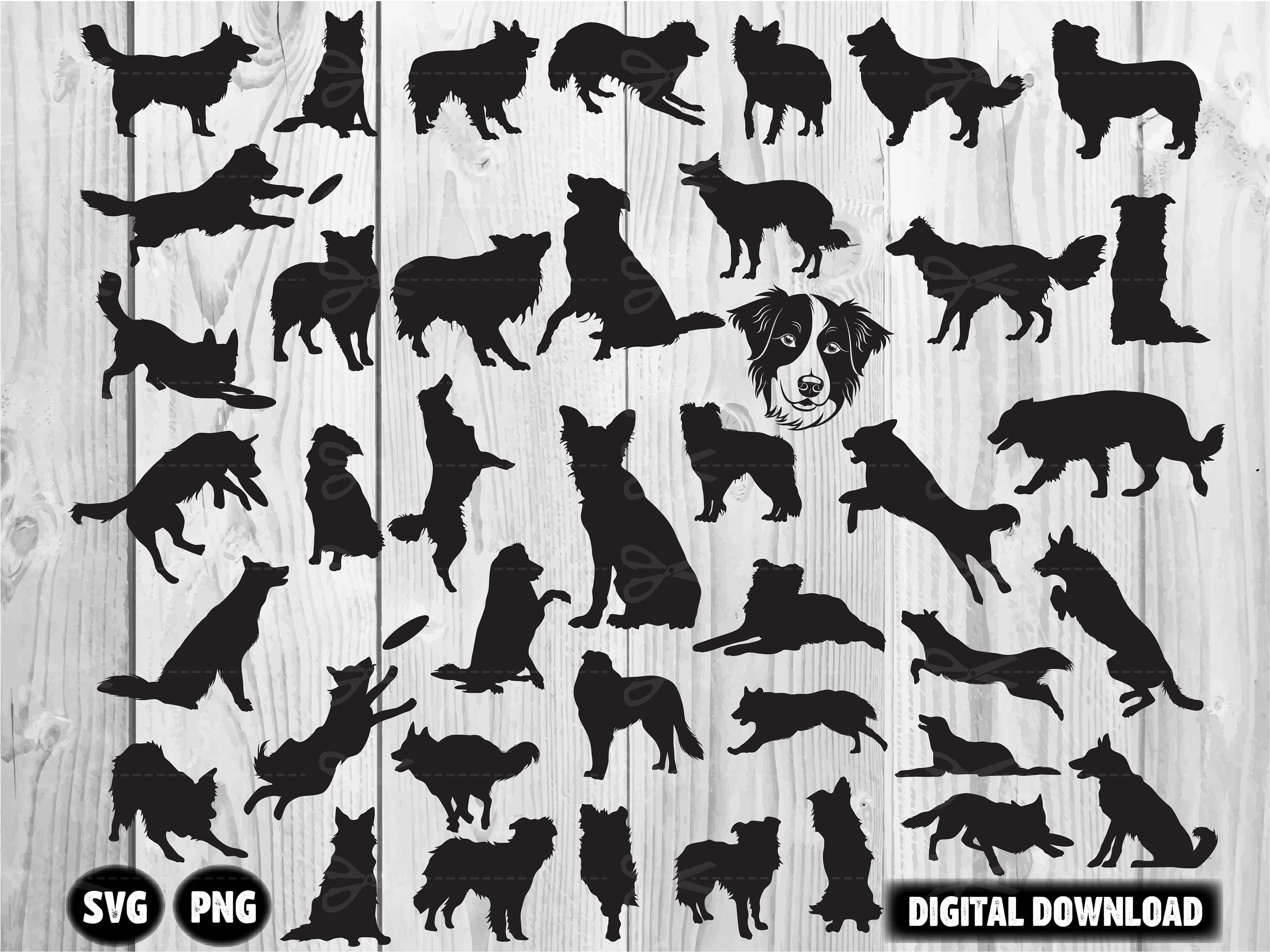 Brown Border Collie Animal Pattern Style by Colorful Jean Baptiste ·  Creative Fabrica