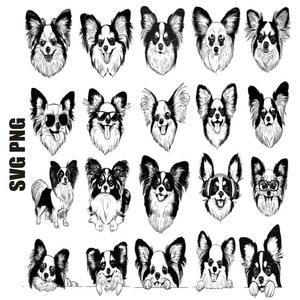 Papillon svg, paquete de svg de perro Papillon, Papillon png, silueta de Papillon, asomando Papillon svg