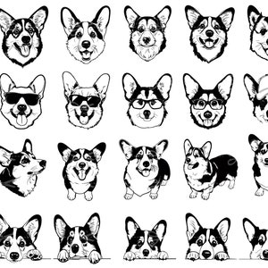 Corgi Svg Corgi Png Corgi Head Svg Corgi Clipart Peeking - Etsy